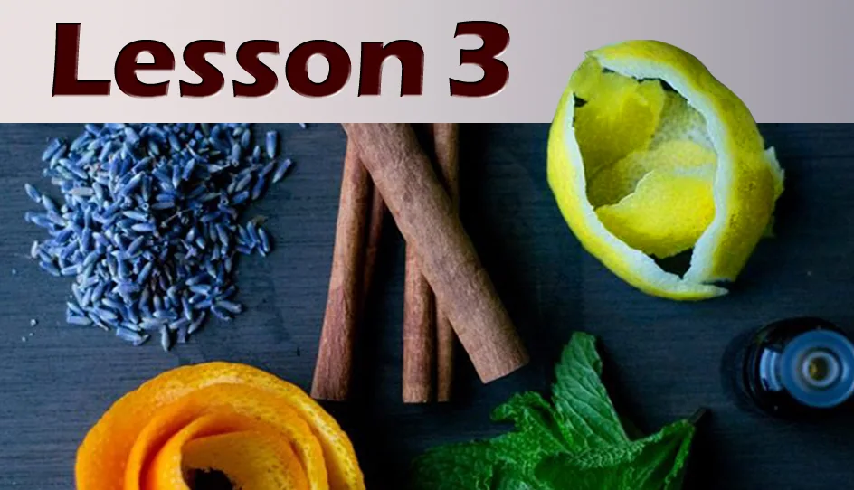 Illustration for lesson 3: Four Major Goals of Natural Healing