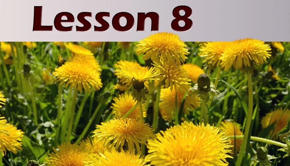 Illustration for lesson 8: The Molecular Pathway: Part 2- Herbal Medicine